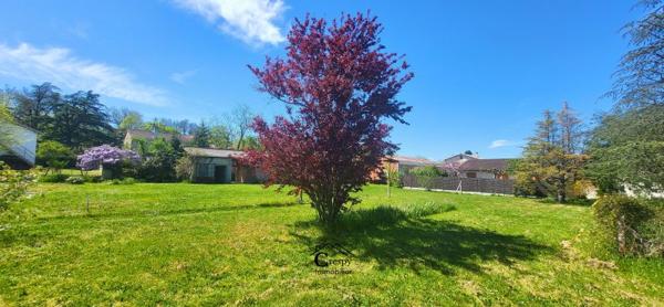 Vente / Terrain constructible