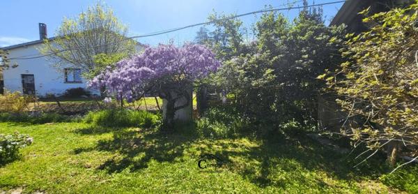 Vente / Terrain constructible