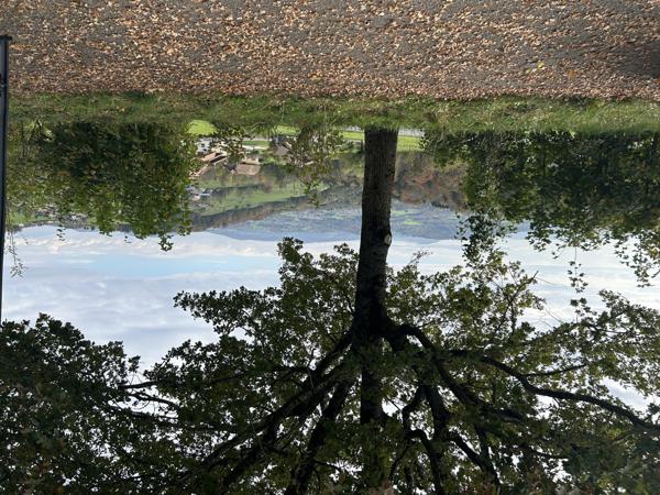 Appartement 3 pièces - 67 m²