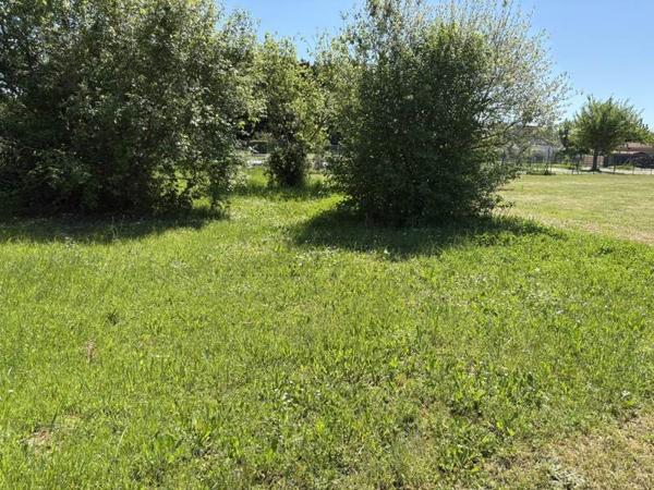 Terrain à vendre |  Vineuil |  1147 m²