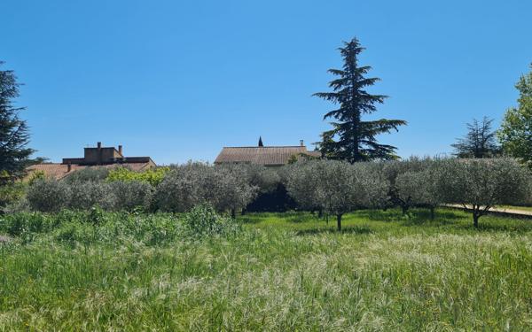 Terrain à vendre    Pujaut