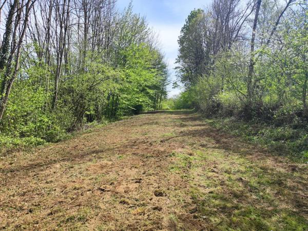 Spacieux terrain hors lotissement avec permis accordé !