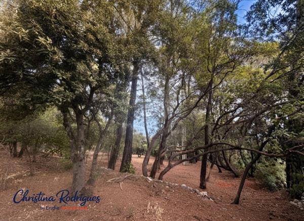 LORGUES TERRAIN A BATIR