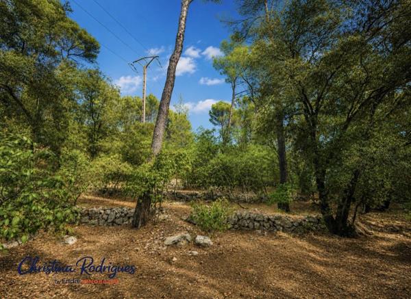 LORGUES TERRAIN A BATIR