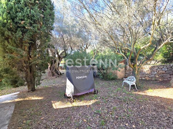 Achat/vente à vendre Maison Villa Solliès-Pont proche Toulon 7 pièce(s) 5 chambres 219 m²