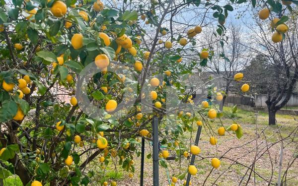 Maison à vendre    5 pièces •  Puget-Ville