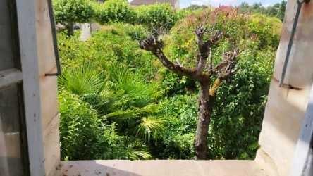 Maison de ville 108 m2, avec jardin, à rénover.