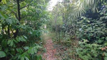 Maison de ville 108 m2, avec jardin, à rénover.