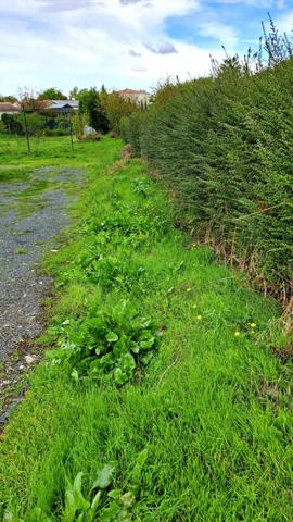 Terrain à ANDILLY, 17230 - 661m²