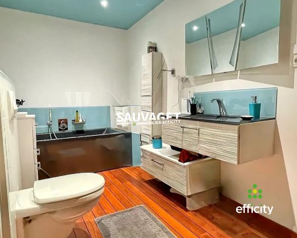 Maison 11 pièces - 320 m² Bien prestige