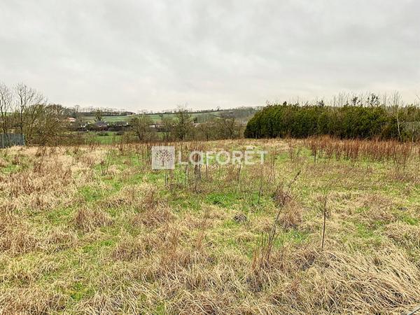 Achat terrain La Neuville-au-Pont - 2020 m² - 19 000 €