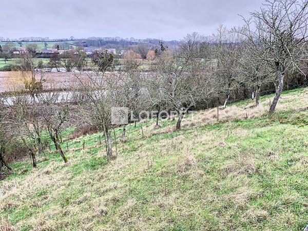 Achat terrain La Neuville-au-Pont - 2020 m² - 19 000 €