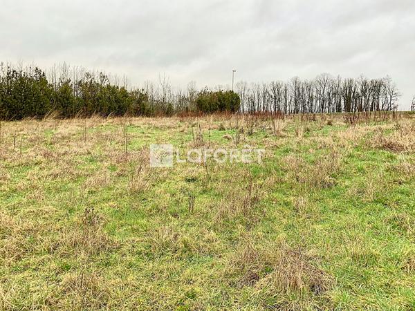 Achat terrain La Neuville-au-Pont - 2020 m² - 19 000 €