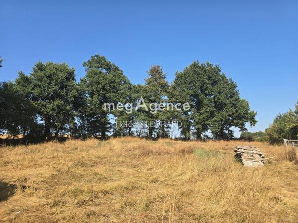 Terrain à BAIS, 53160 - 7195m²