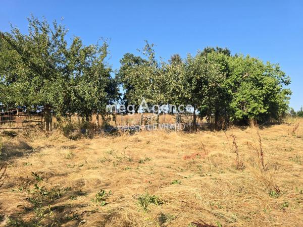 Terrain à BAIS, 53160 - 7195m²