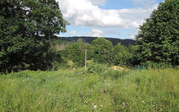 Terrain à vendre    Hauteville-Lompnes