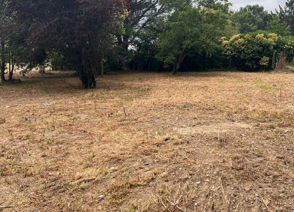 Terrain à vendre    Noé