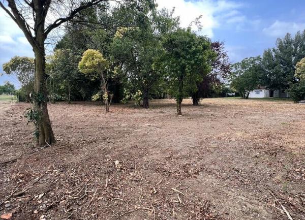 Terrain à vendre    Noé