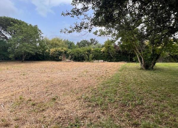 Terrain à vendre    Noé