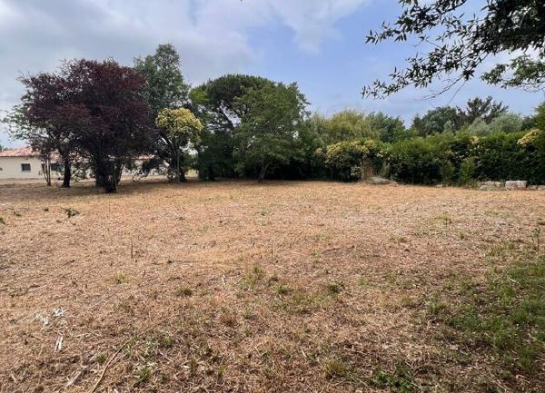 Terrain à vendre    Noé