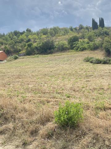 LIMOUX