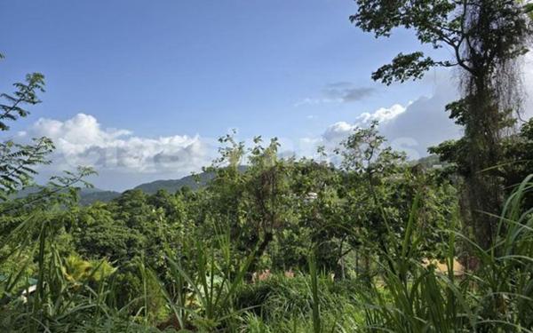 Terrain à vendre    Le Vauclin