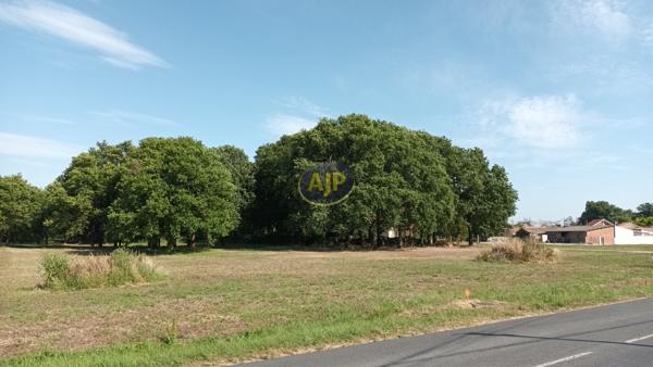 Terrains à vendre Soulac Sur Mer : surface de 704 m2 à 92 100€ - AJP Soulac Immobilier