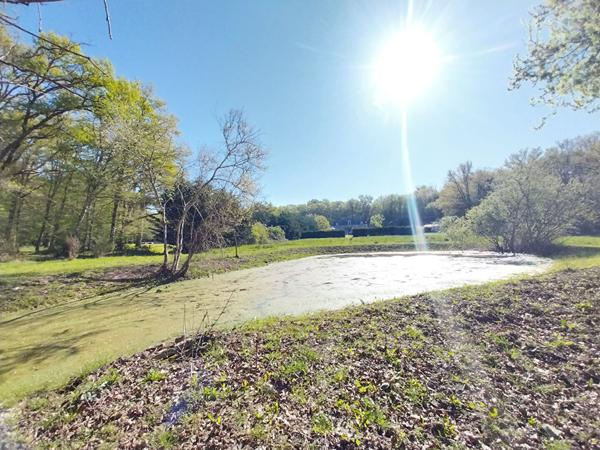 Relais de chasse à vendre - Cour Cheverny - 3 Ha, Maison principale rénovée (5 Chbs) + annexes et dépendances
