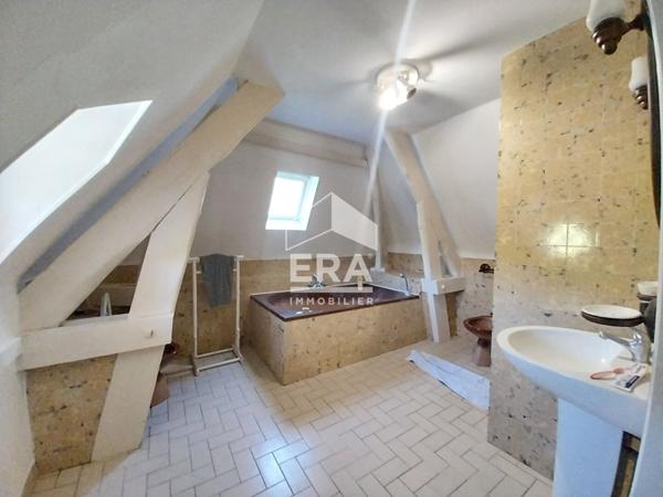 Relais de chasse à vendre - Cour Cheverny - 3 Ha, Maison principale rénovée (5 Chbs) + annexes et dépendances