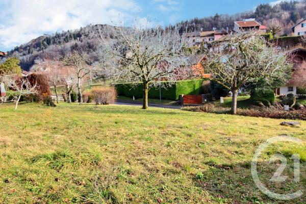 Terrain à vendre  409 m2 ALLINGES - 74