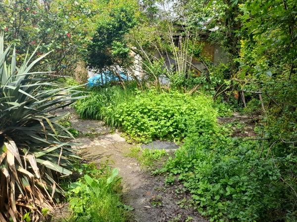 Achat maison Neuilly-sur-Marne - 1 pièce(s) - 64 m² - 304 000 €