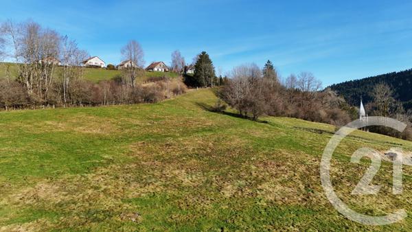 Terrain à vendre  694 m2 MONTBENOIT - 25
