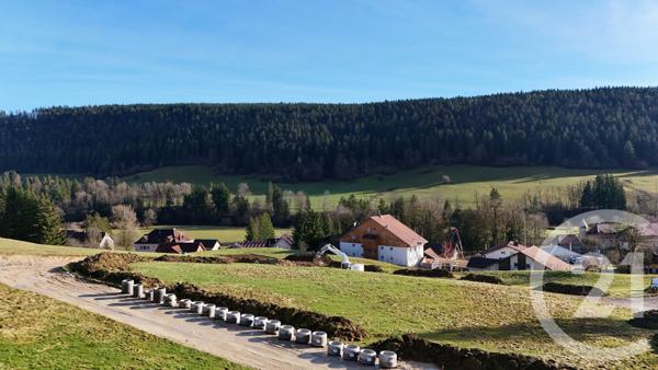 Terrain à vendre  694 m2 MONTBENOIT - 25