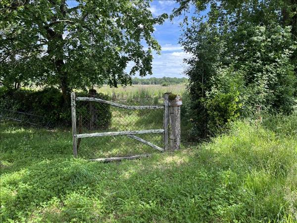 Maison à vendre |  Aire-sur-l'Adour |  2 pièces | 281 m²