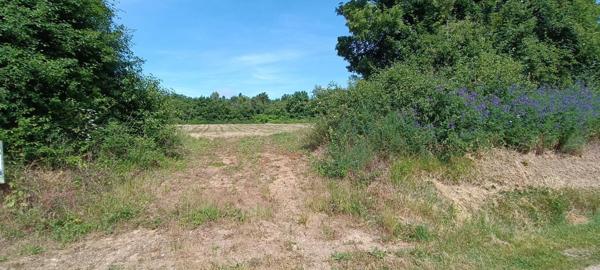 terrain constructible 1529m2 avec vue sur la nature