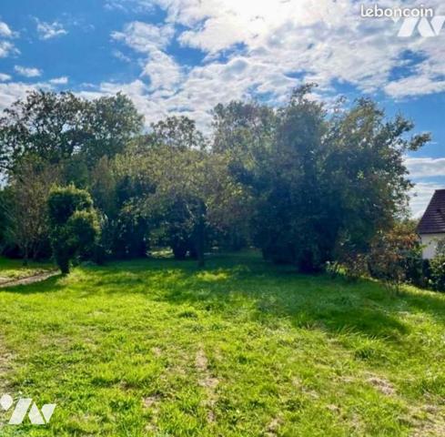 Terrain constructible