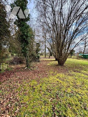 Terrain constructible