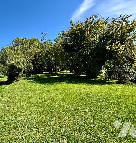 Terrain constructible