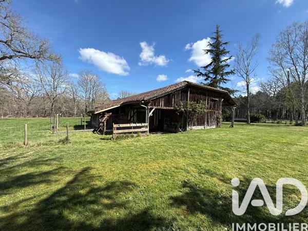 Maison à vendre 8 pièces 170 m² Luxey