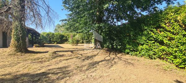 Terrain Angresse 590 m2
