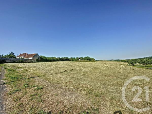 Terrain à vendre  1505 m 2   EBREUIL  - 03