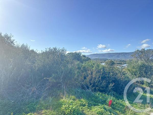 Terrain à vendre  804 m2 PORTO VECCHIO - 201