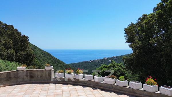 Hauteur San Martino Di Lota - Villa de 380m2 - Vue Mer
