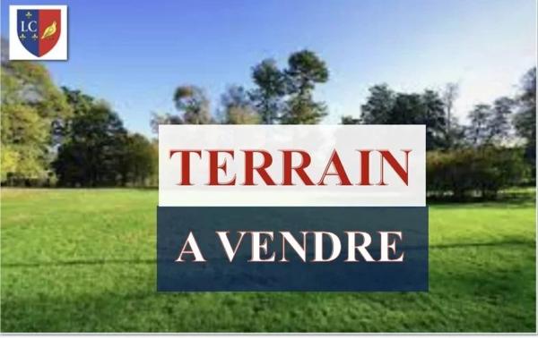 Terrain