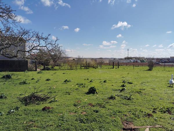 Terrain constructible