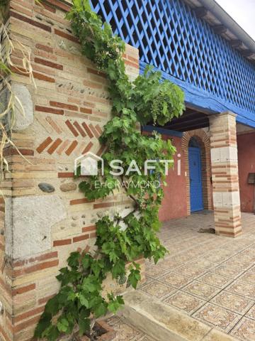 Charme toulousain et caractère viticole: découvrez cette belle maison de 8 pièces, 4 chambres, agrémentée d'une terrasse, d'un garage, d'une cave et d'un terrain comprenant 500 pieds de vigne, autrefois exploités par le propriétaire pour sa production personnelle de vin