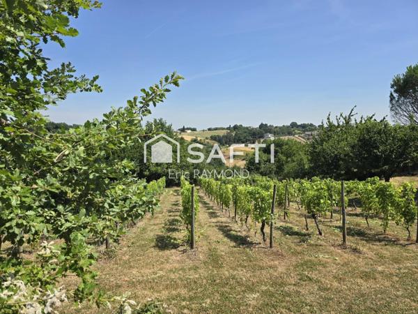 Charme toulousain et caractère viticole: découvrez cette belle maison de 8 pièces, 4 chambres, agrémentée d'une terrasse, d'un garage, d'une cave et d'un terrain comprenant 500 pieds de vigne, autrefois exploités par le propriétaire pour sa production personnelle de vin