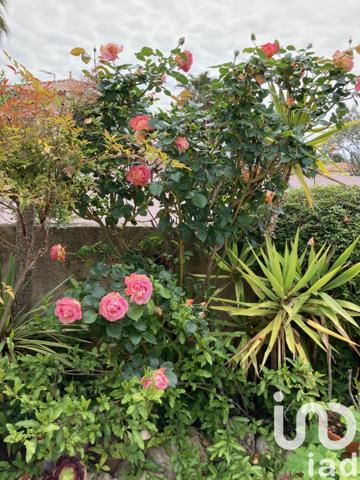 Maison à vendre 4 pièces 91 m² Mèze