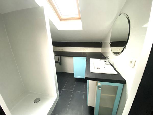 Appartement Duplex Courbevoie 2 pièces dernier étage_grand séjour