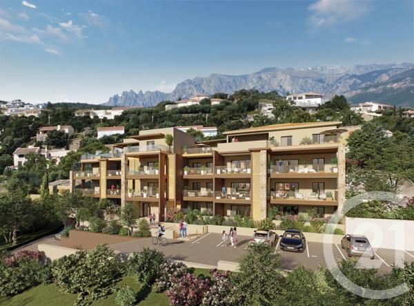 Appartement T2 à vendre  2 pièces - 29 m 2   ZONZA  - 201